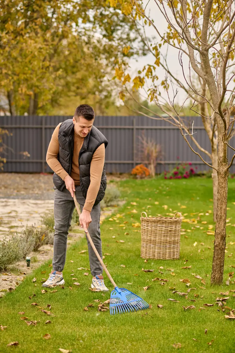 man-raking-leaves-lawn-garden man-raking-leaves-lawn-garden