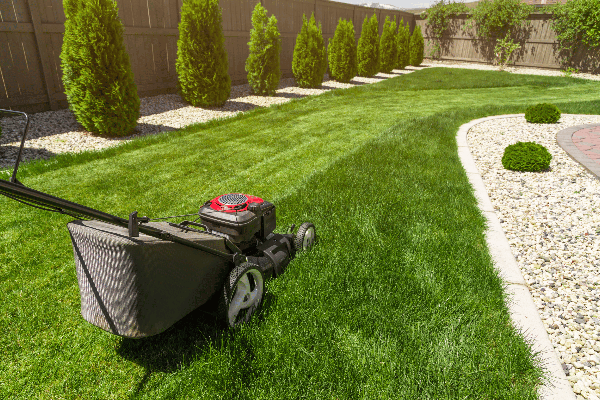 8 man-cutting-grass-with-lawn-mover-back-yard