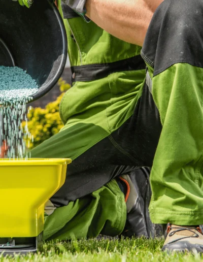 Professional lawn care service for a lush, green yard